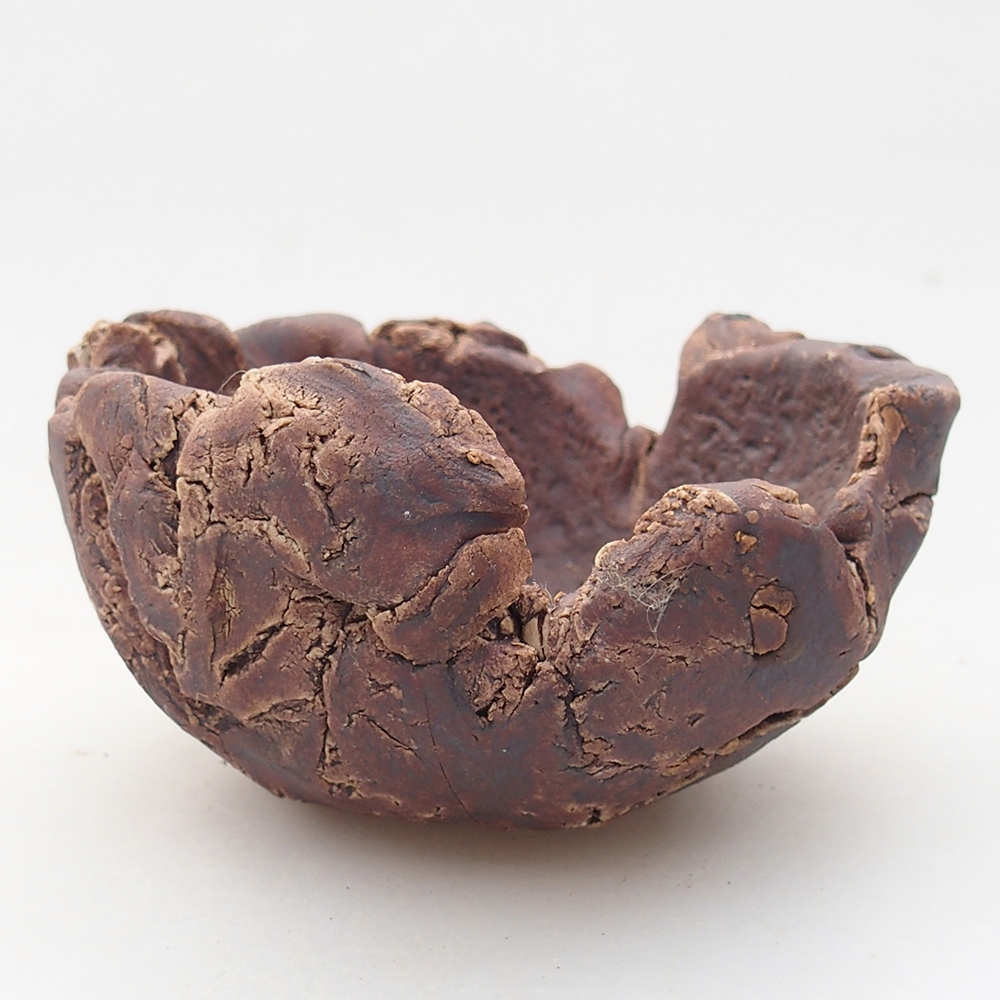 Kerámia kagyló 10 x 9 x 5,5 cm , barna színű