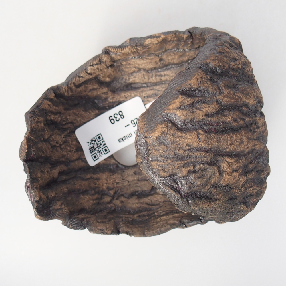 Kerámia kagyló 10 x 9 x 10 cm , barna színű