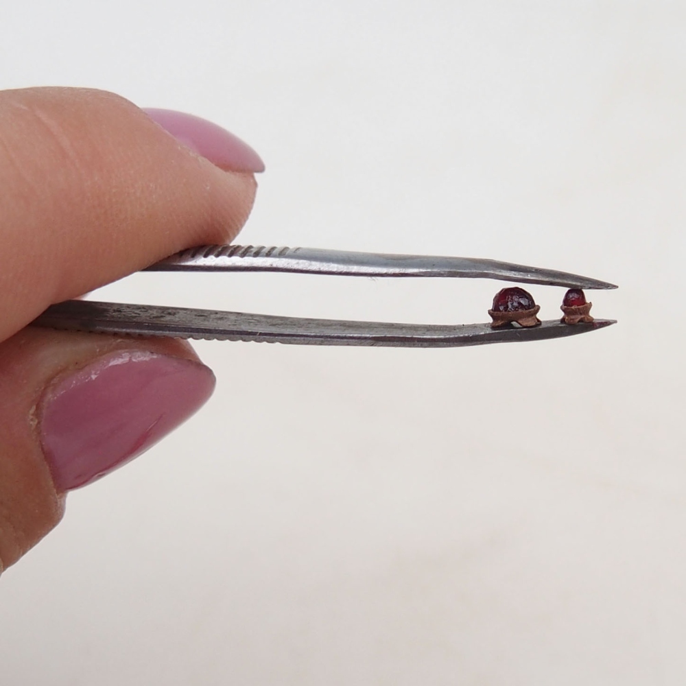 Suiseki - Kő DAI-val (fa alapon)