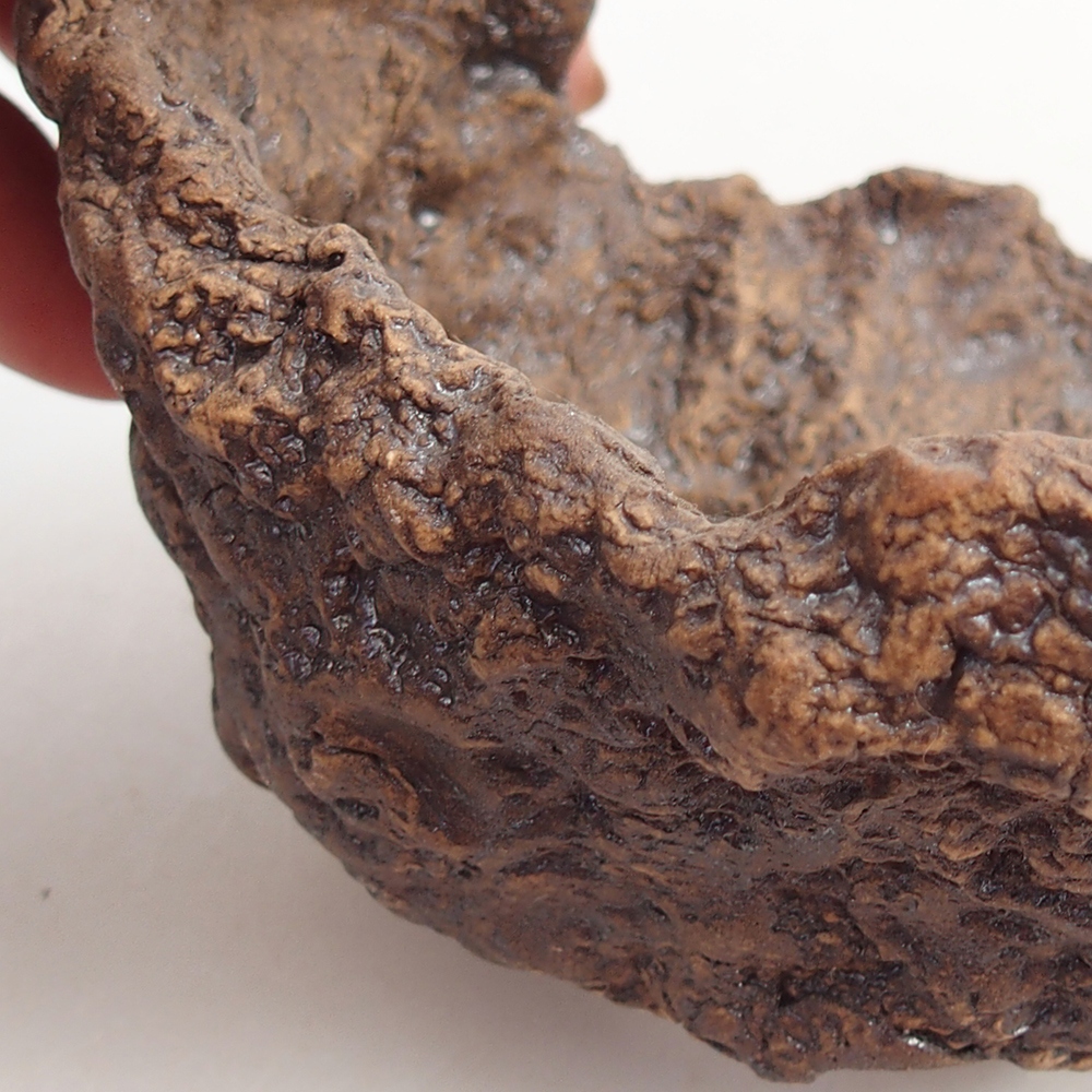 Kerámia kagyló 10 x 9 x 9 cm , barna színű