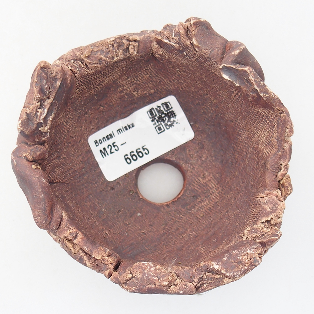 Kerámia kagyló 9,5 x 9 x 7 cm , barna színű