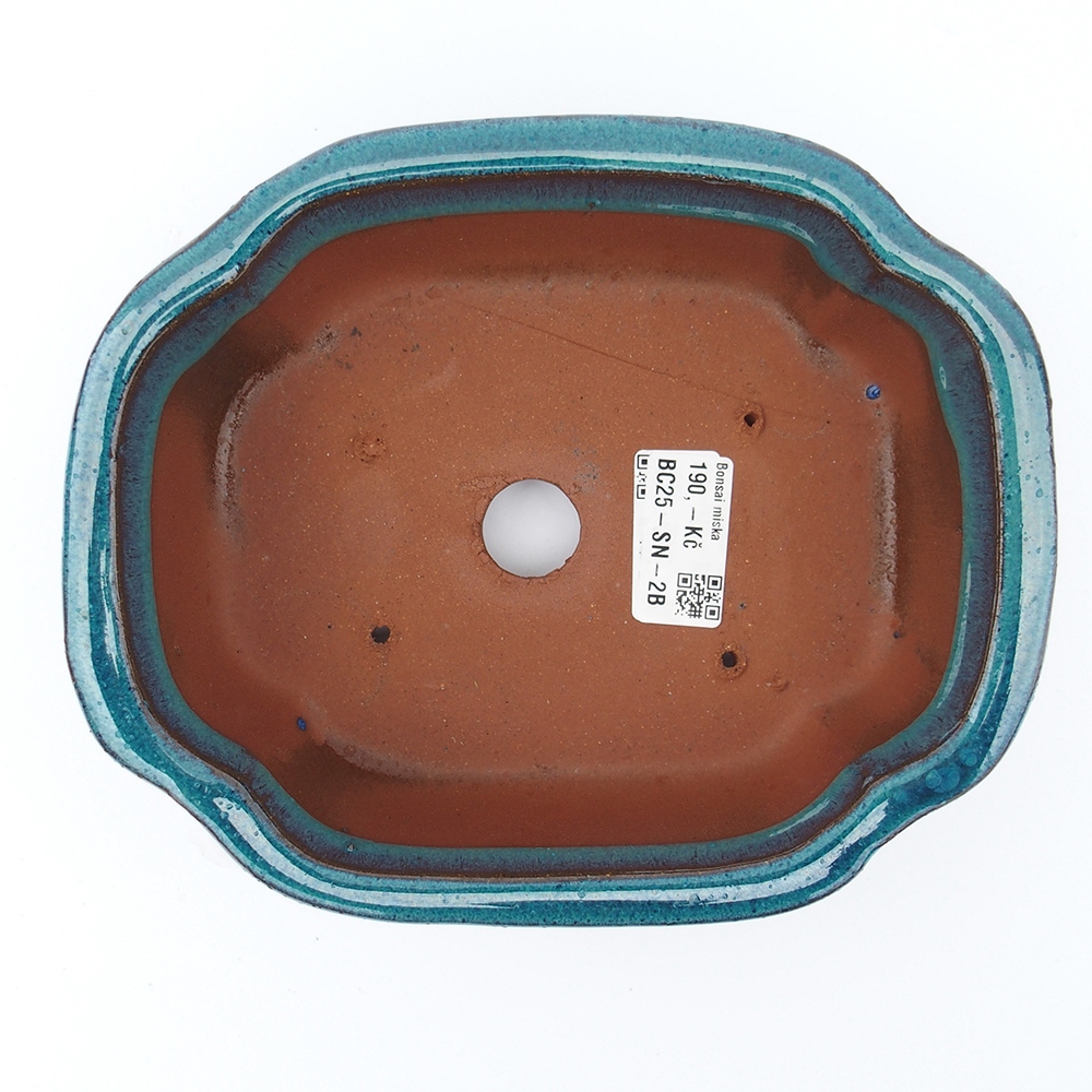 Tál 20 x 16 x 6,5 cm kék-zöld