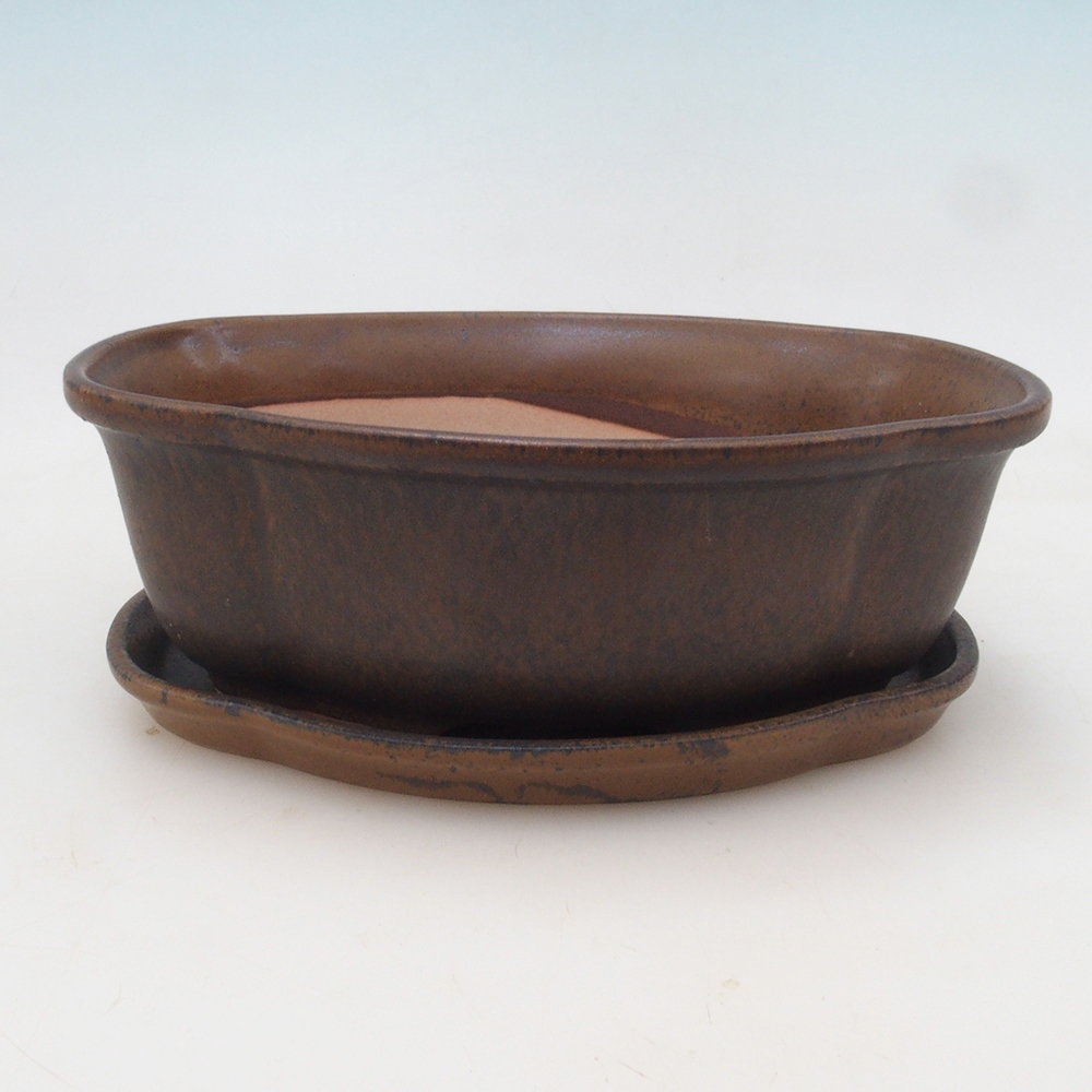 Bonsai tál + csészealj H75 - barna