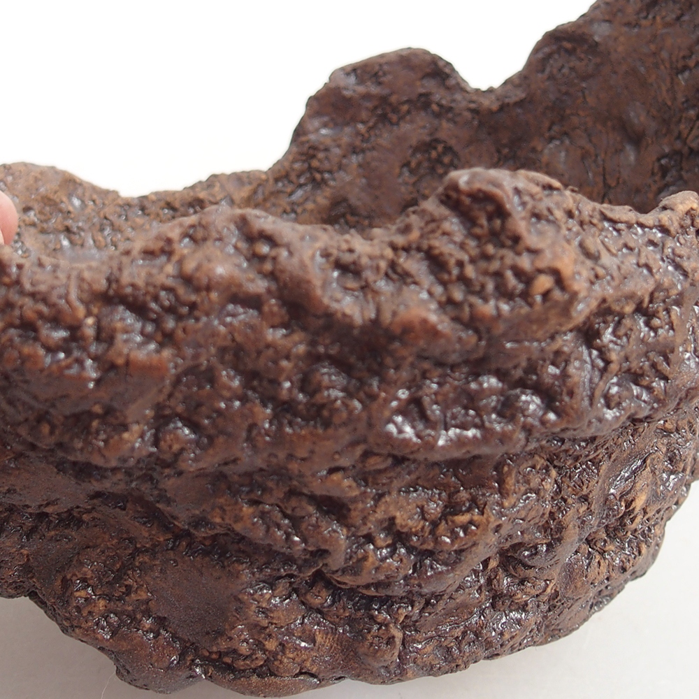 Kerámia kagyló 14 x 12 x 13 cm , színe barna