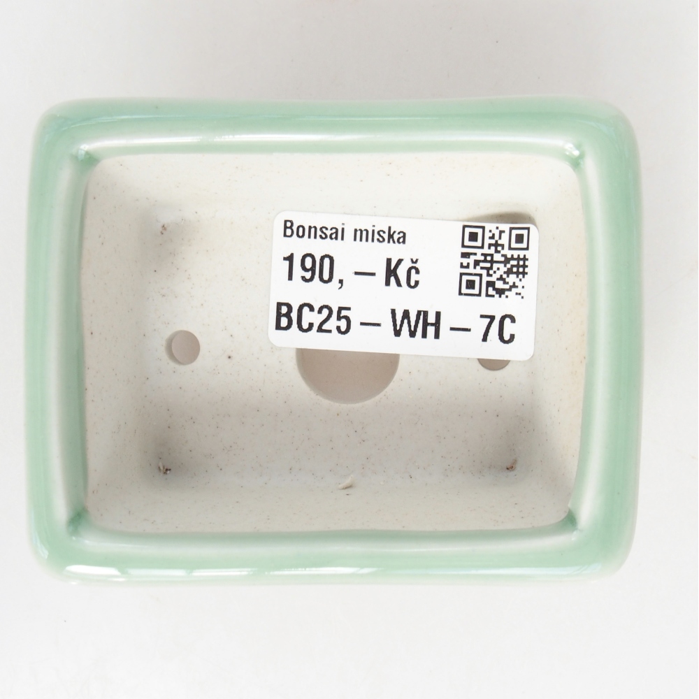 Mini bonsai tál 8 x 6 x 3 cm, zöld