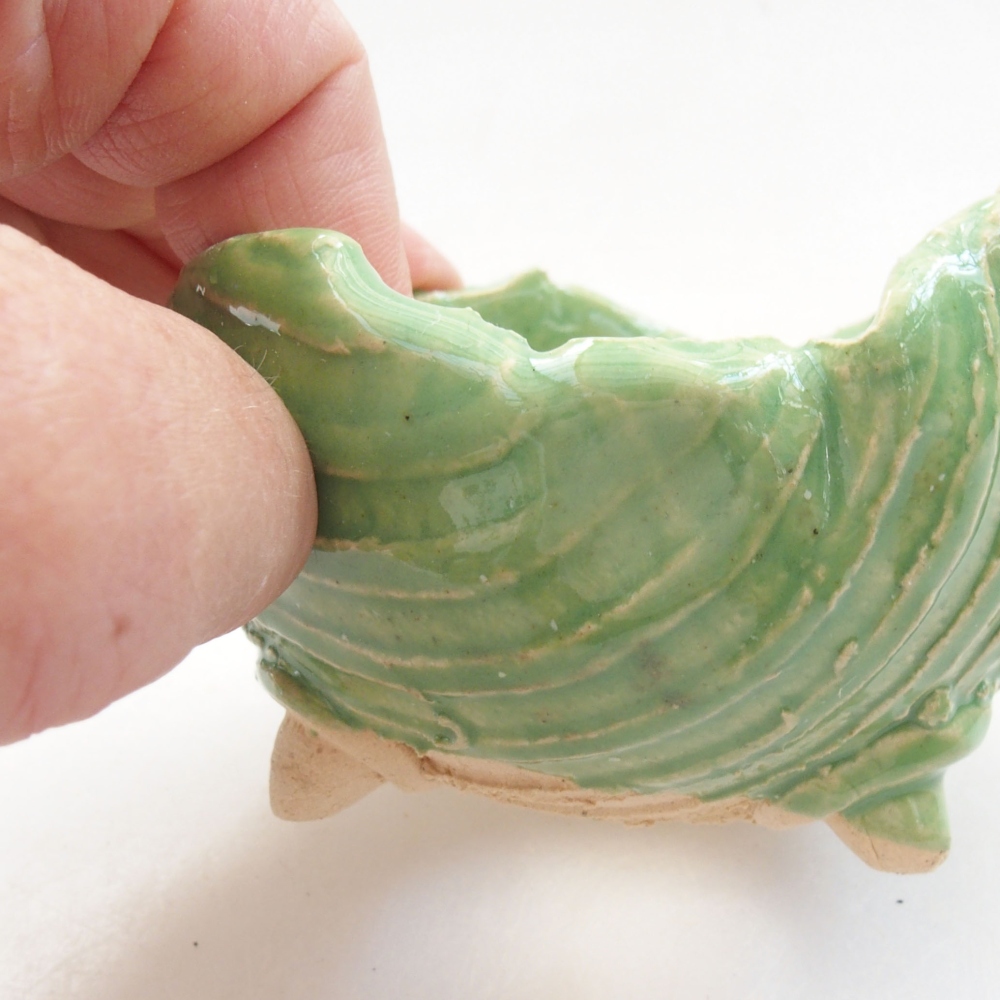 Kerámia kagyló 7 x 7 x 5,5 cm , zöld színű