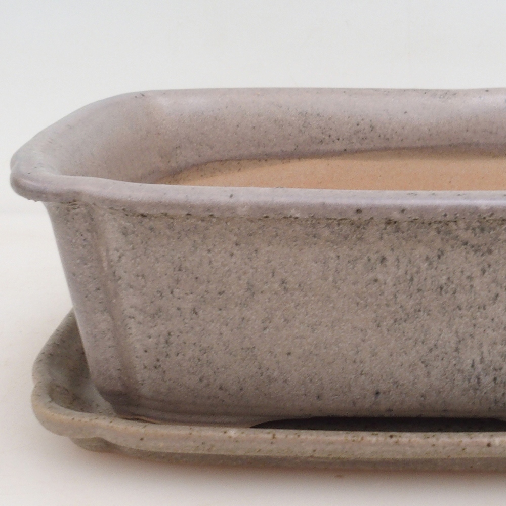 Bonsai tál + csészealj H50 - bézs