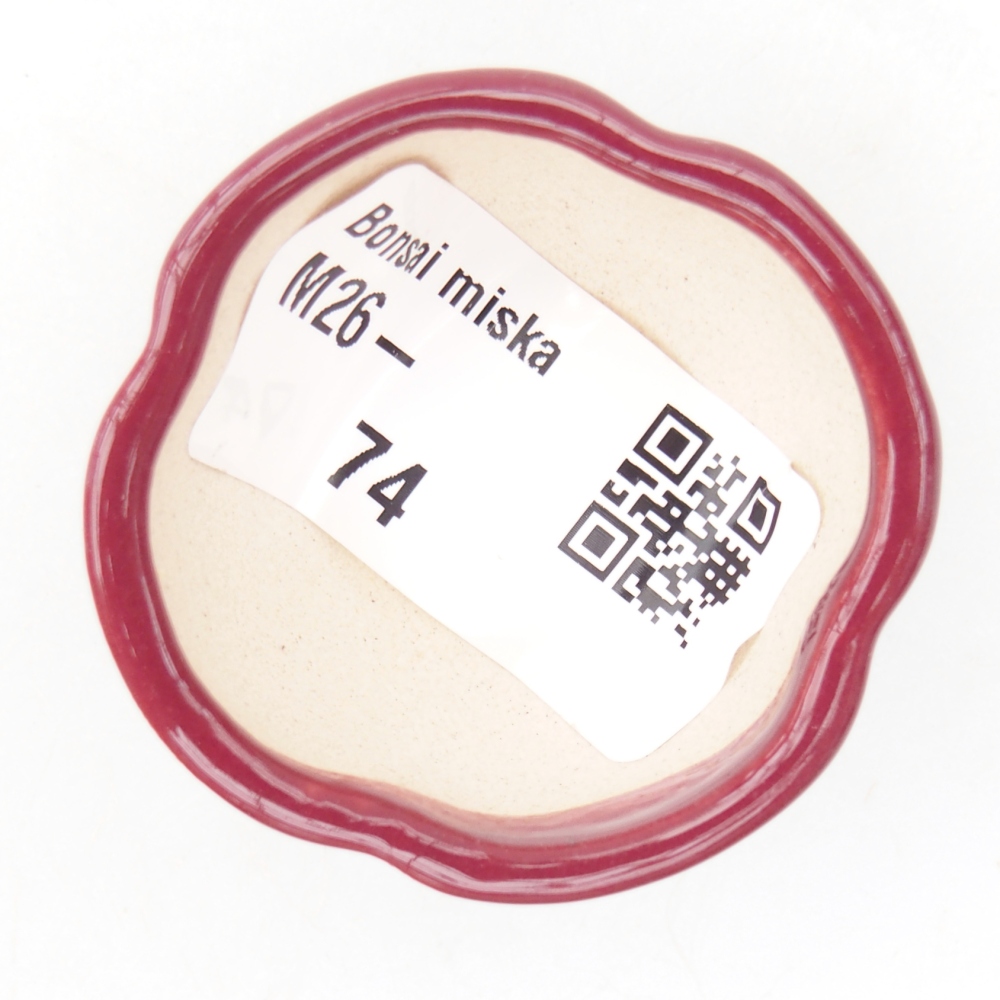 Mini bonsai tál 4 x 4 x 2 cm, bordó színben