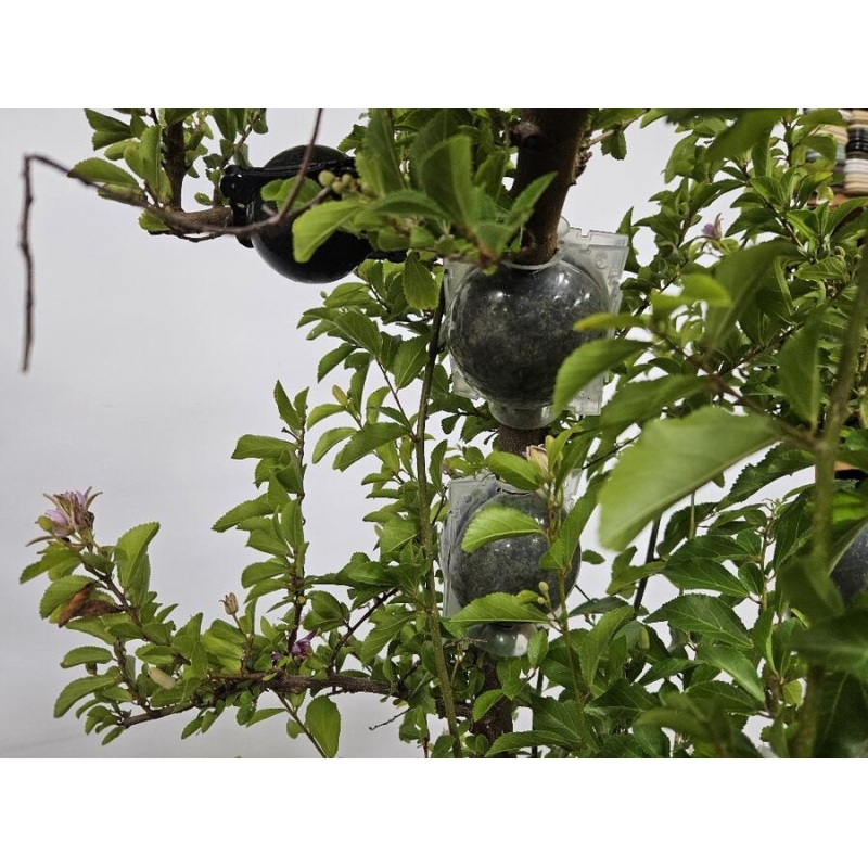 Vágógolyó 8 cm átlátszó