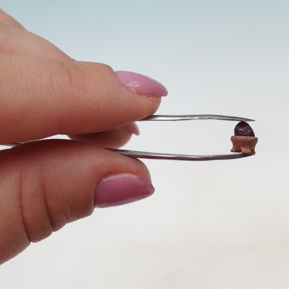 Suiseki - Kő DAI-val (fa alapon)