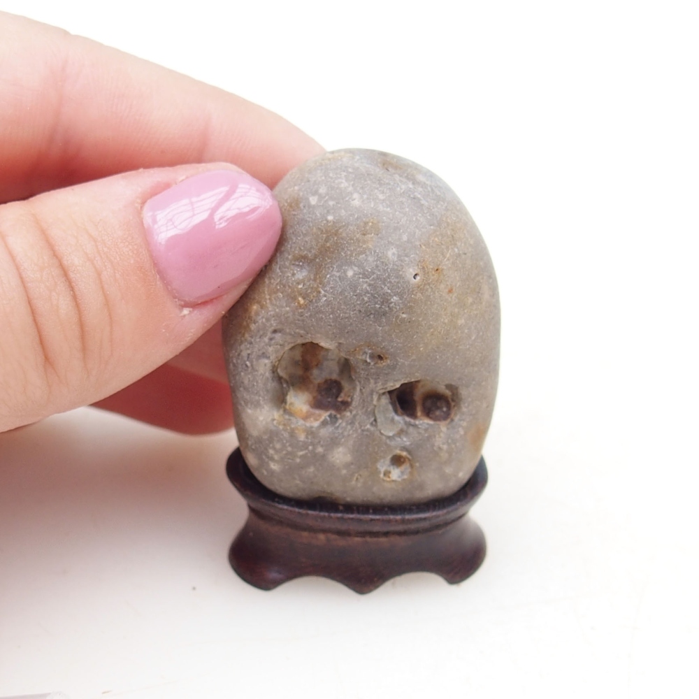 Suiseki - Kő DAI-val (fa alapon)