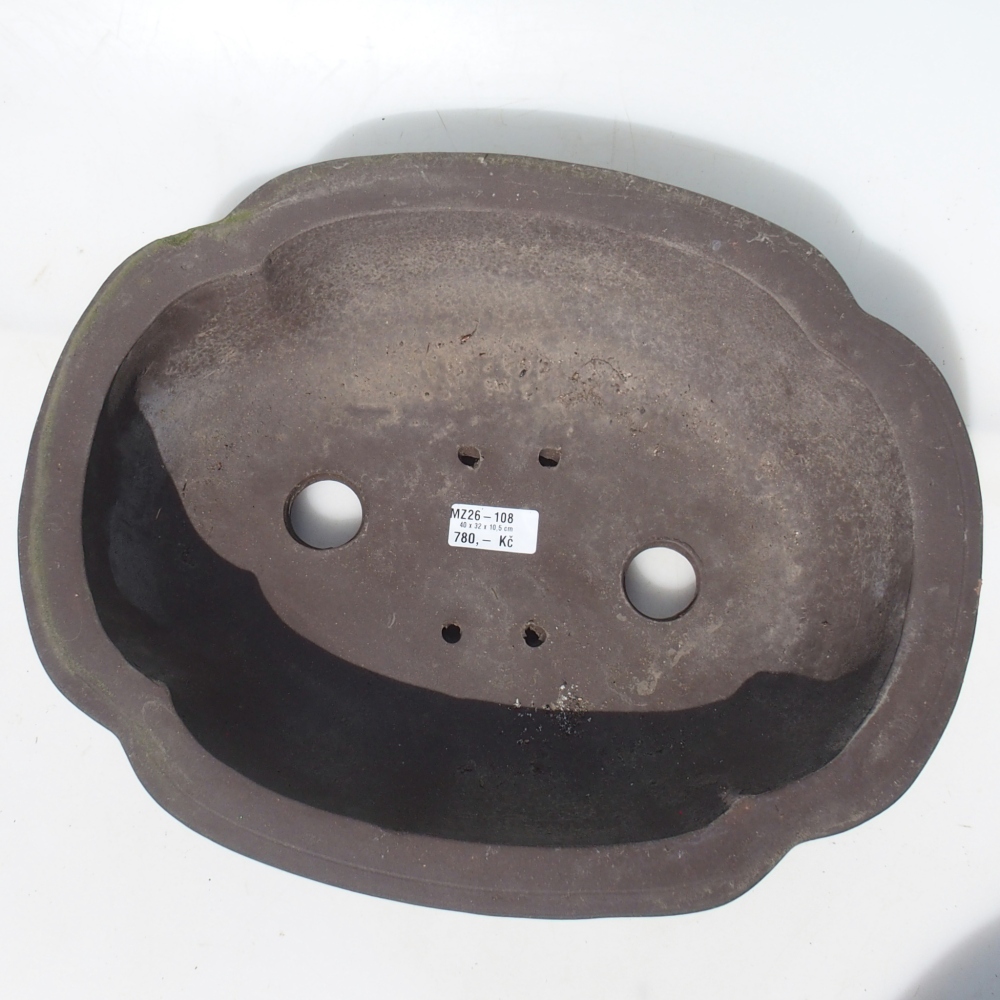 Bonsai tál 40 x 32 x 10,5 cm nyírfa barna