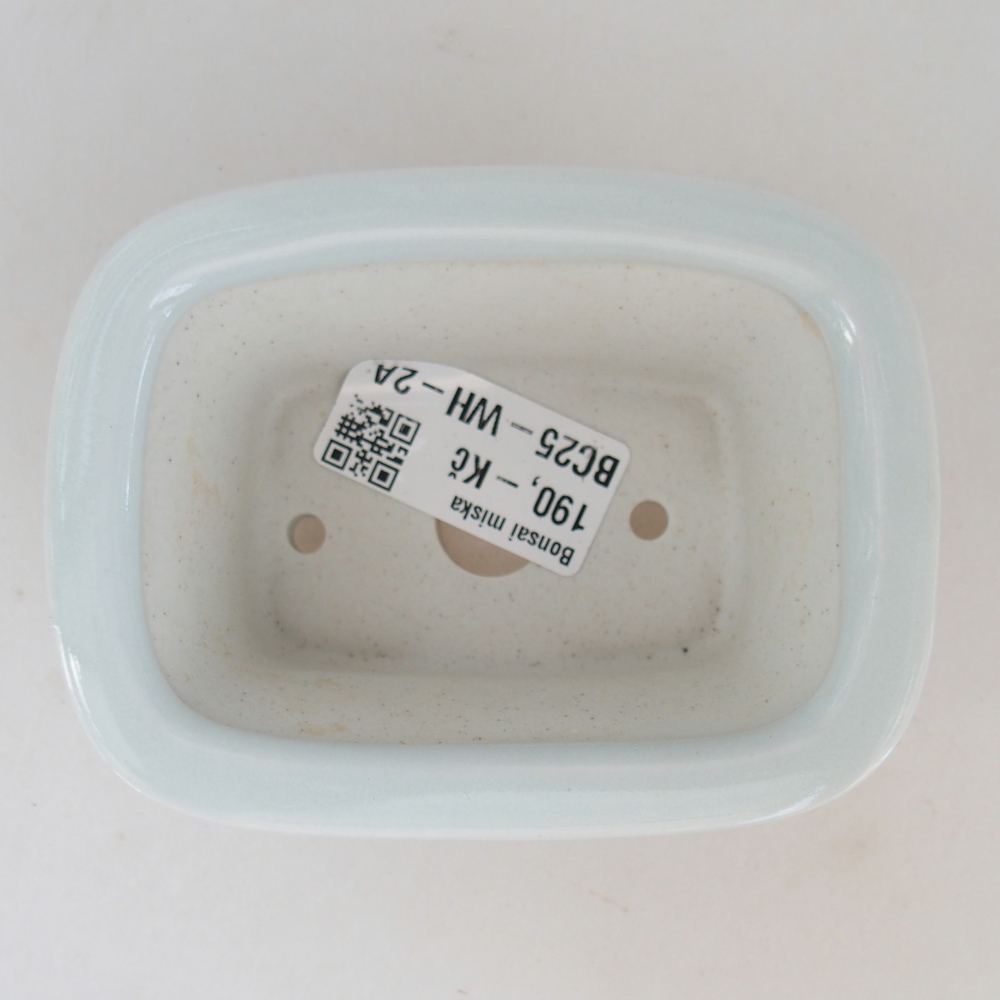 Mini bonsai tál 10 x 7,5 x 4 cm, fehér színben