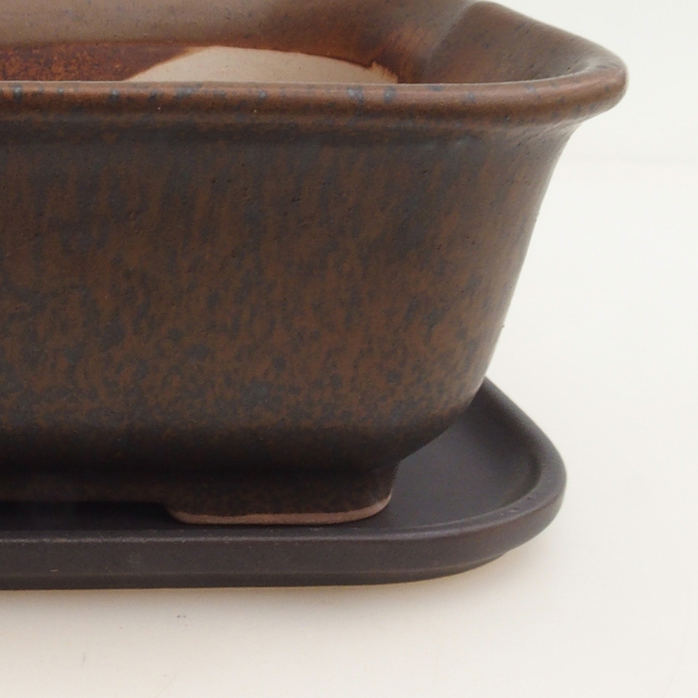 Bonsai tál + csészealj H36 - 17 x 15 x 7,5 cm. - barna