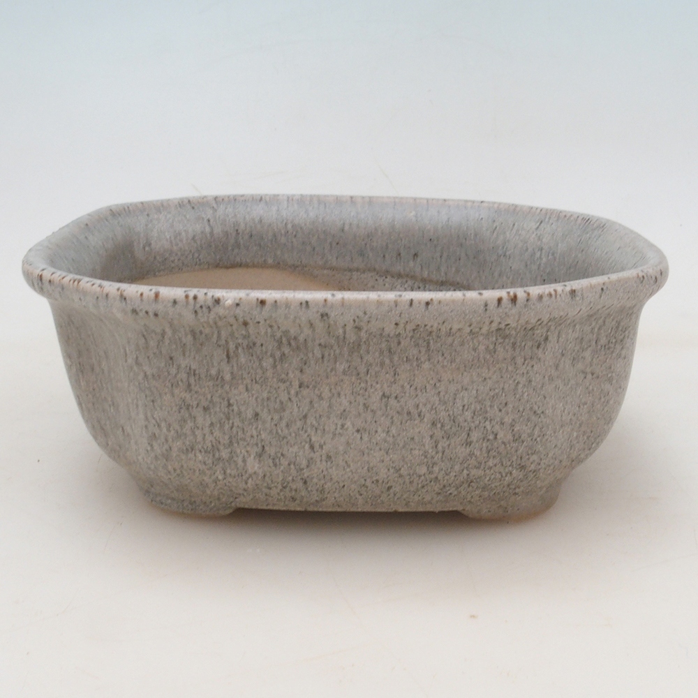 Bonsai tál + csészealj H31 - bézs