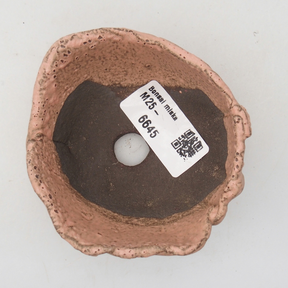 Kerámia kagyló 9 x 8 x 4 cm , rózsaszín színű