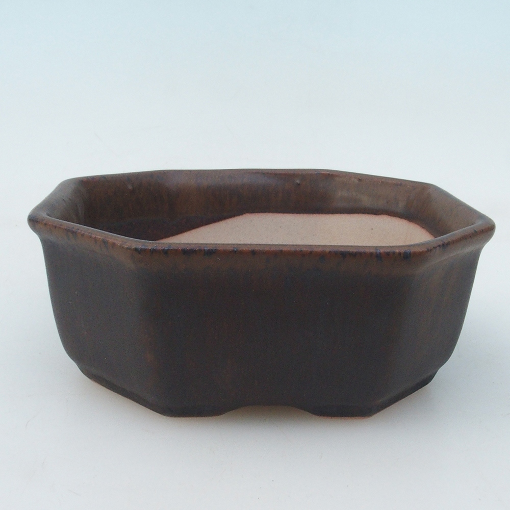 Bonsai tál + csészealj H13 - 12,5x12,5 x4,5 cm. - barna