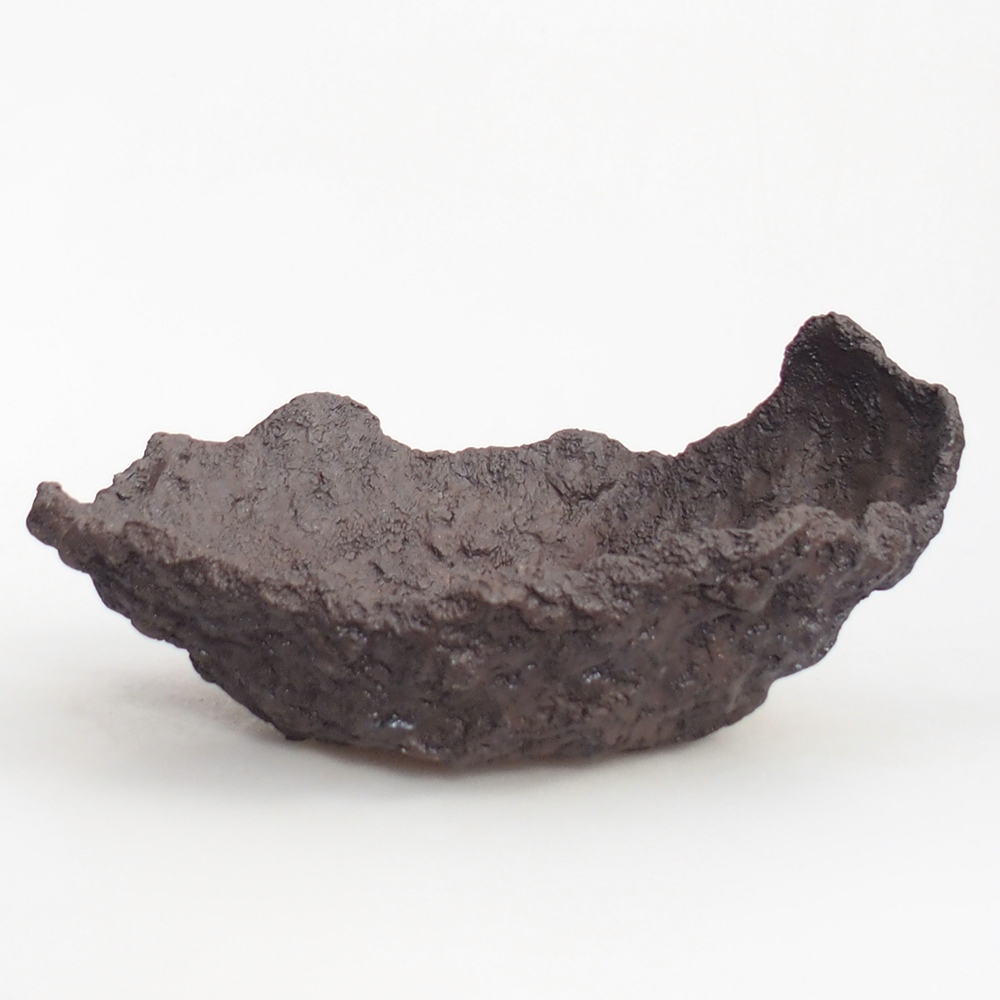 Kerámia kagyló 19 x 15 x 14 cm , barna színű