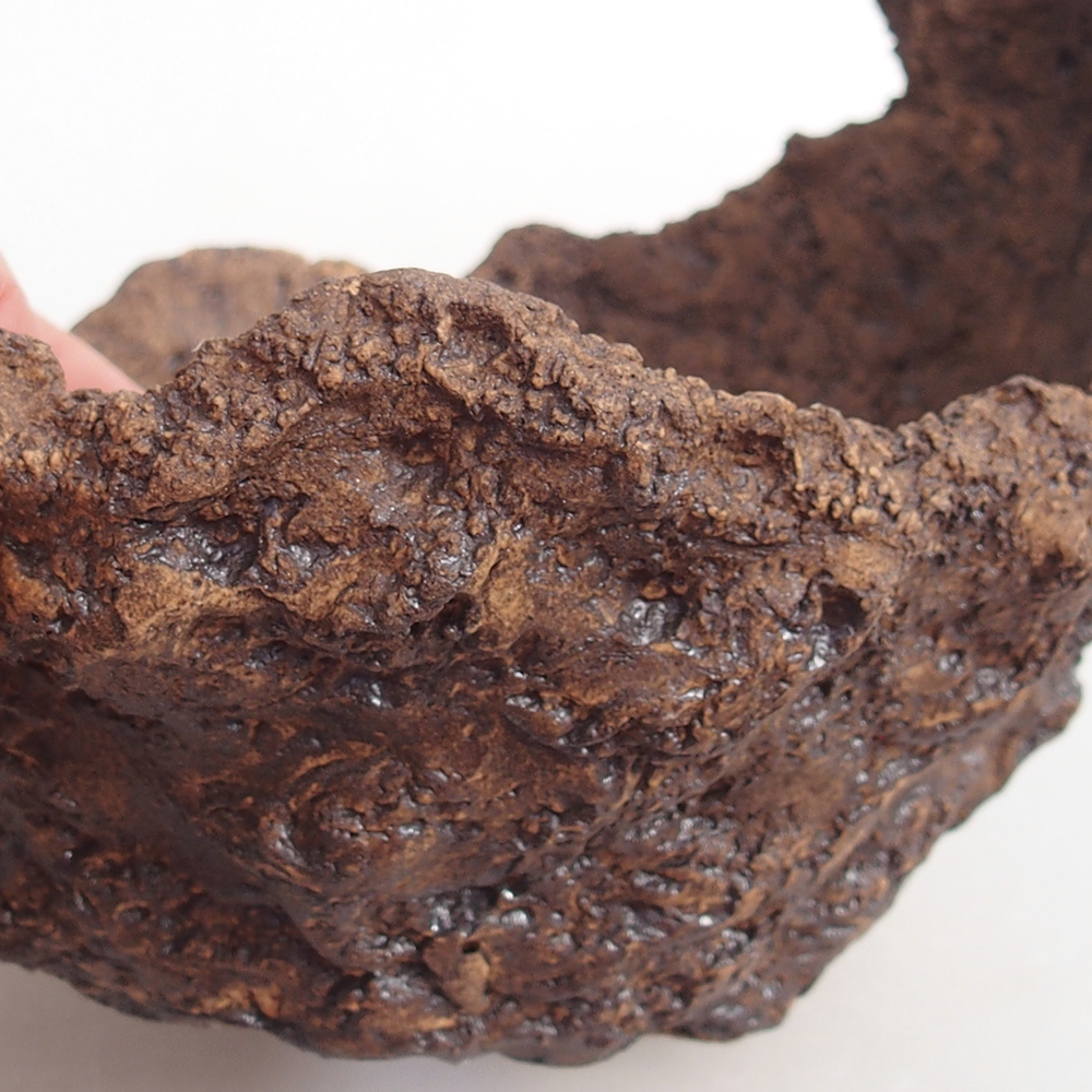 Kerámia kagyló 14 x 13 x 12 cm , színe barna