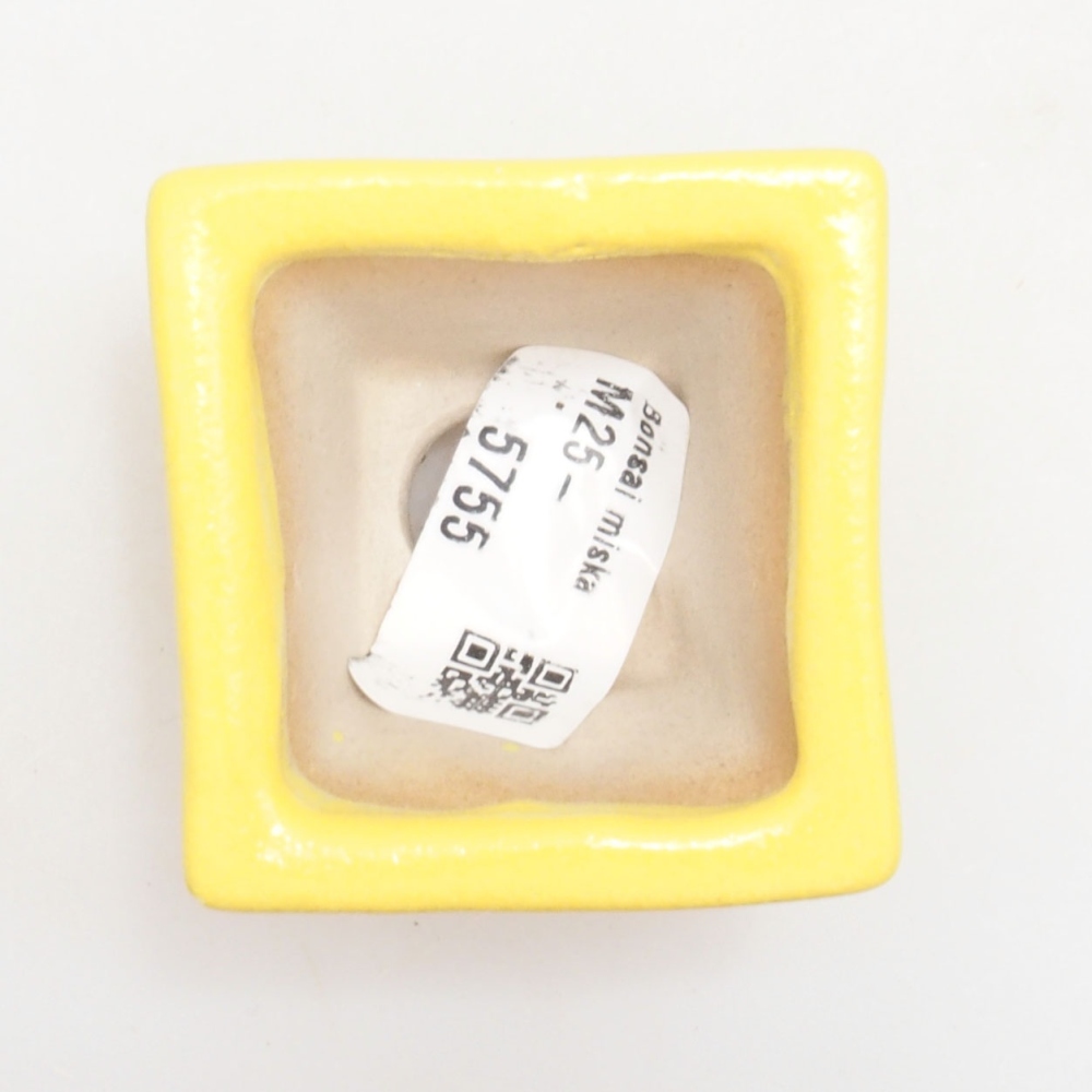 kerámia bonsai tál 5 x 5 x 3,5 cm, sárga