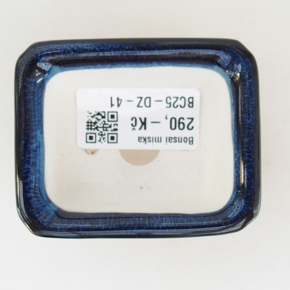 Mini bonsai tál 7 x 5,5 x 3 cm, kék színű