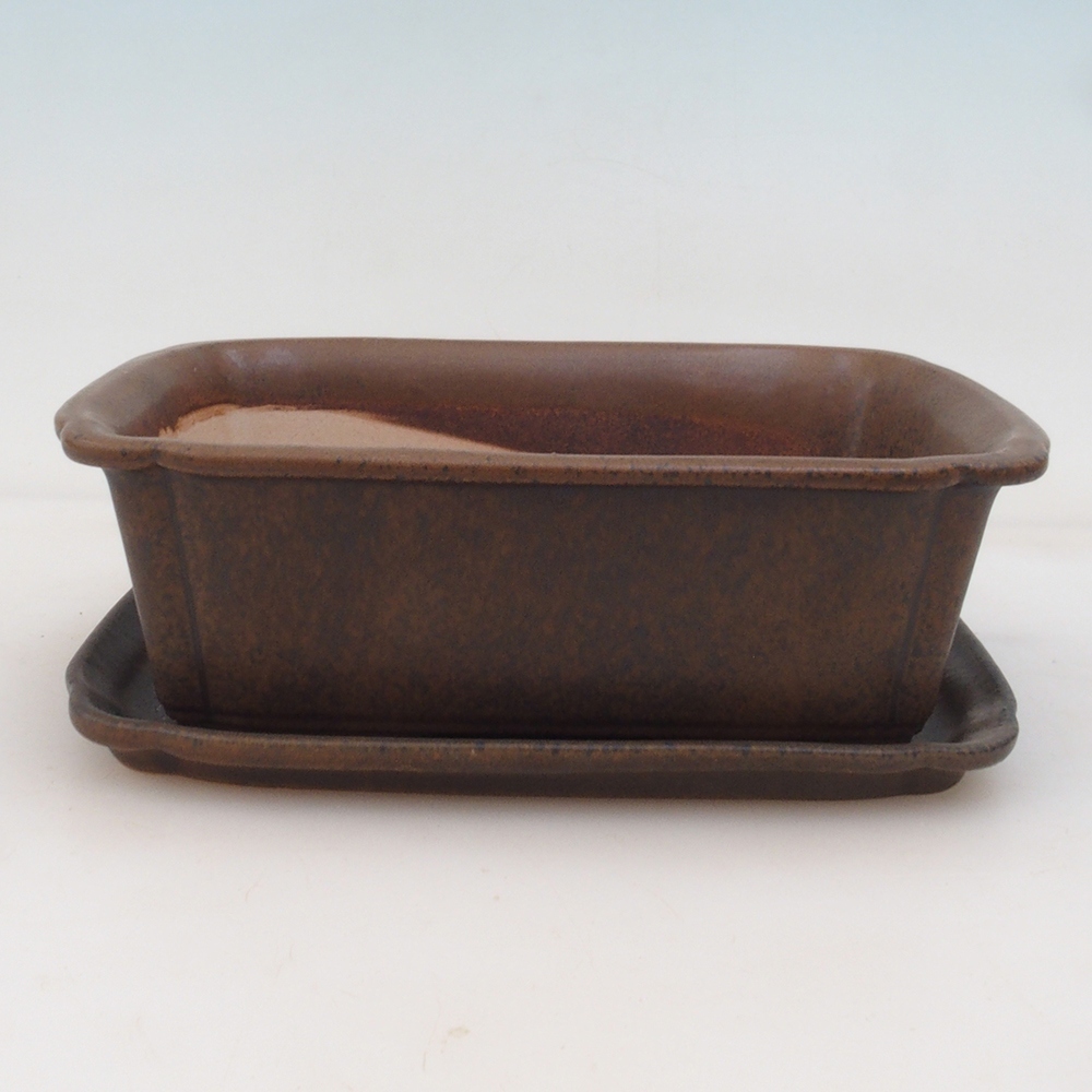 Bonsai tál + csészealj H50 - barna