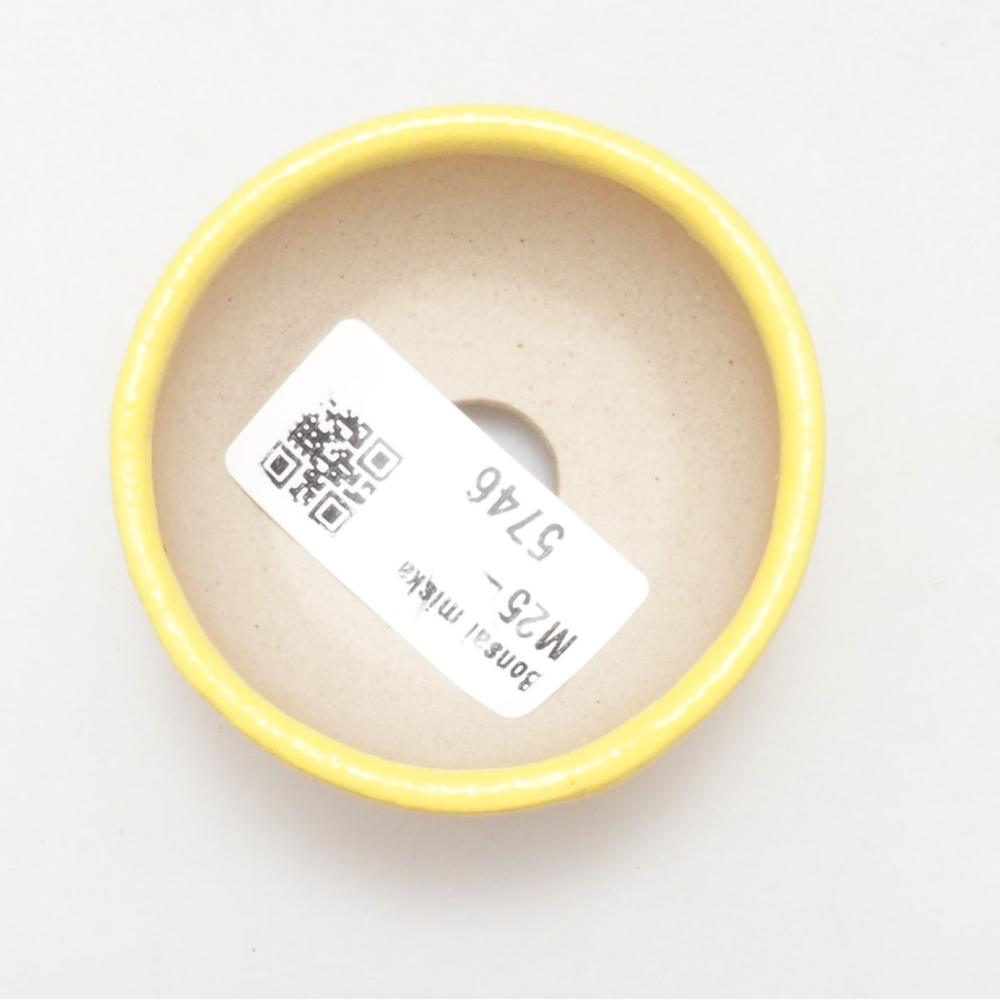 kerámia bonsai tál 6 x 6 x 2,5 cm, sárga