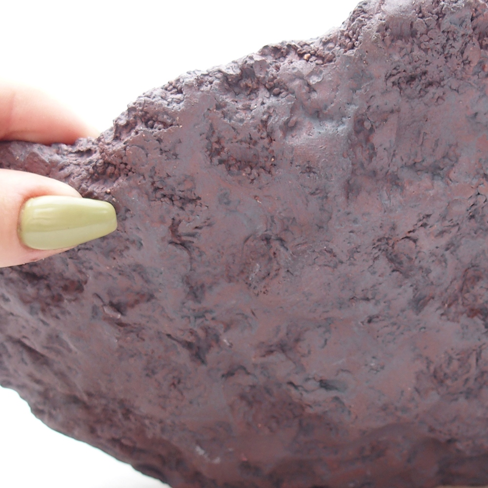 Kerámia kagyló 31 x 30 x 23 cm , barna színű