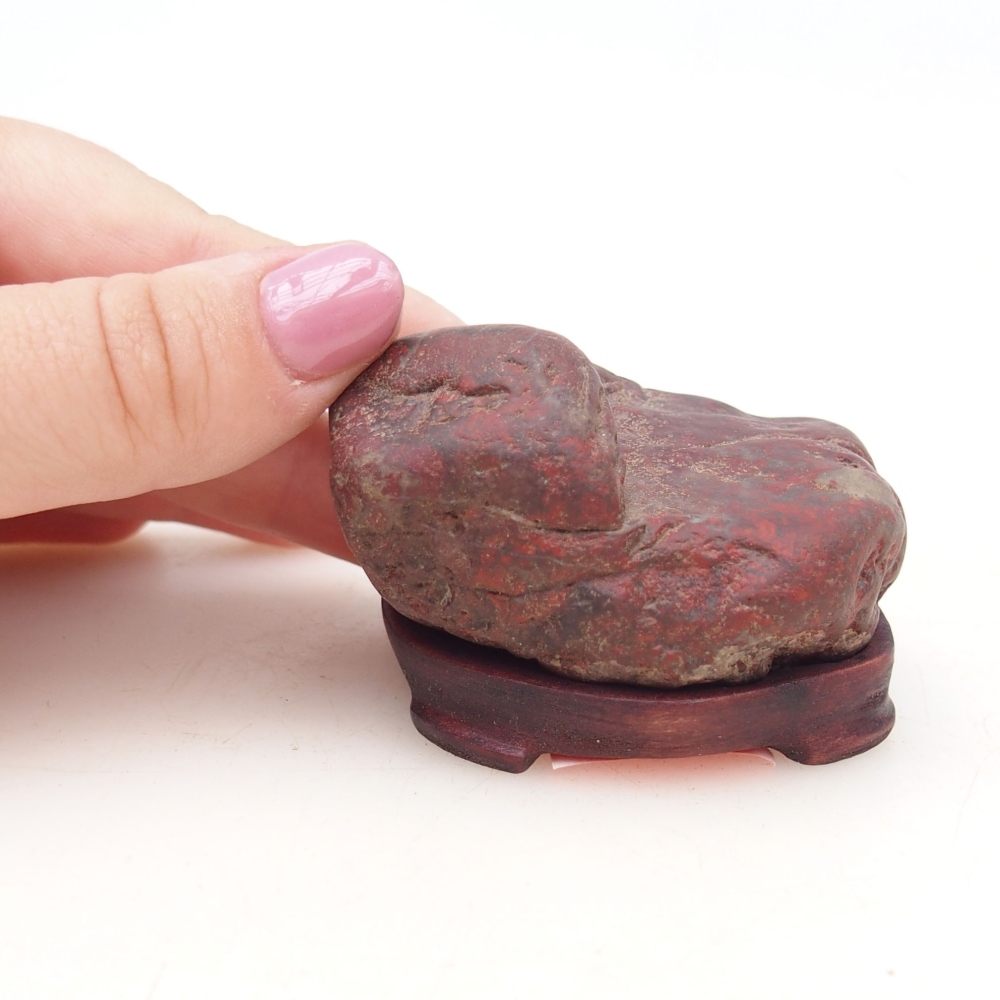 Suiseki - Kő DAI-val (fa alapon)