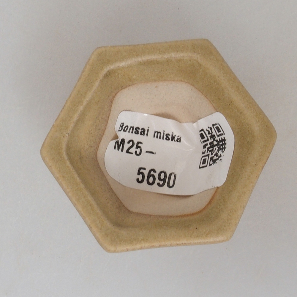 Mini bonsai tál 4,5 x 4,5 x 2,5 cm, barna