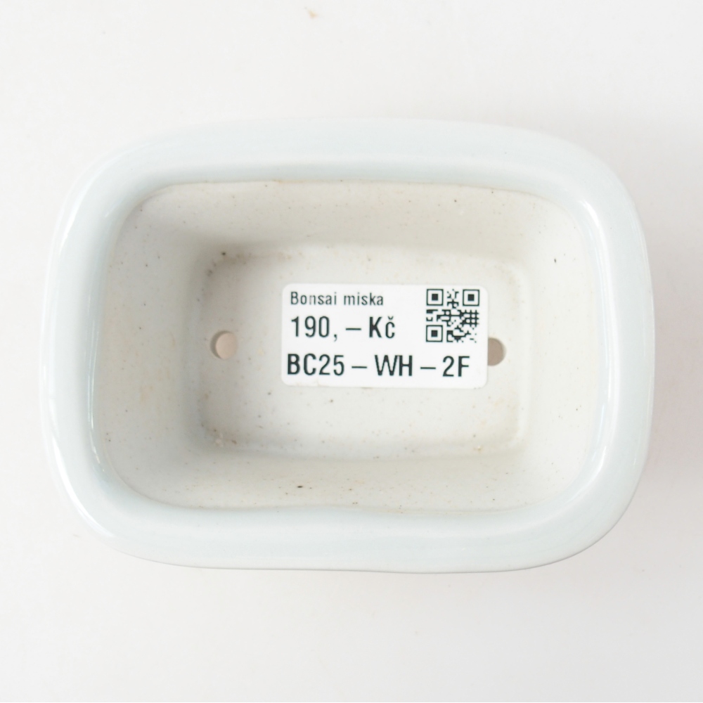 Mini bonsai tál 10 x 7,5 x 4 cm, fehér színben