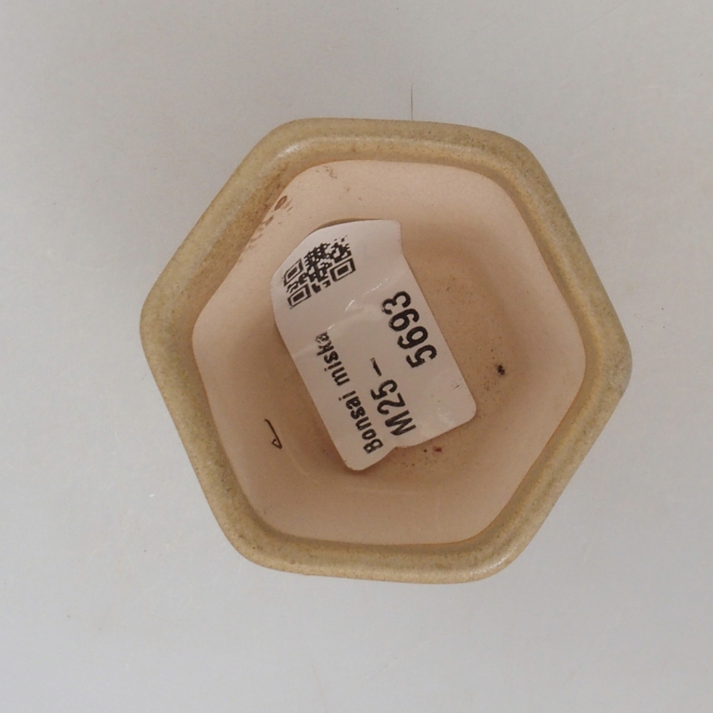 Mini bonsai tál 5 x 5 x 5 cm, barna