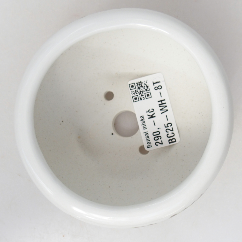 kerámia bonsai tál 10 x 10 x 5 cm, fehér színben