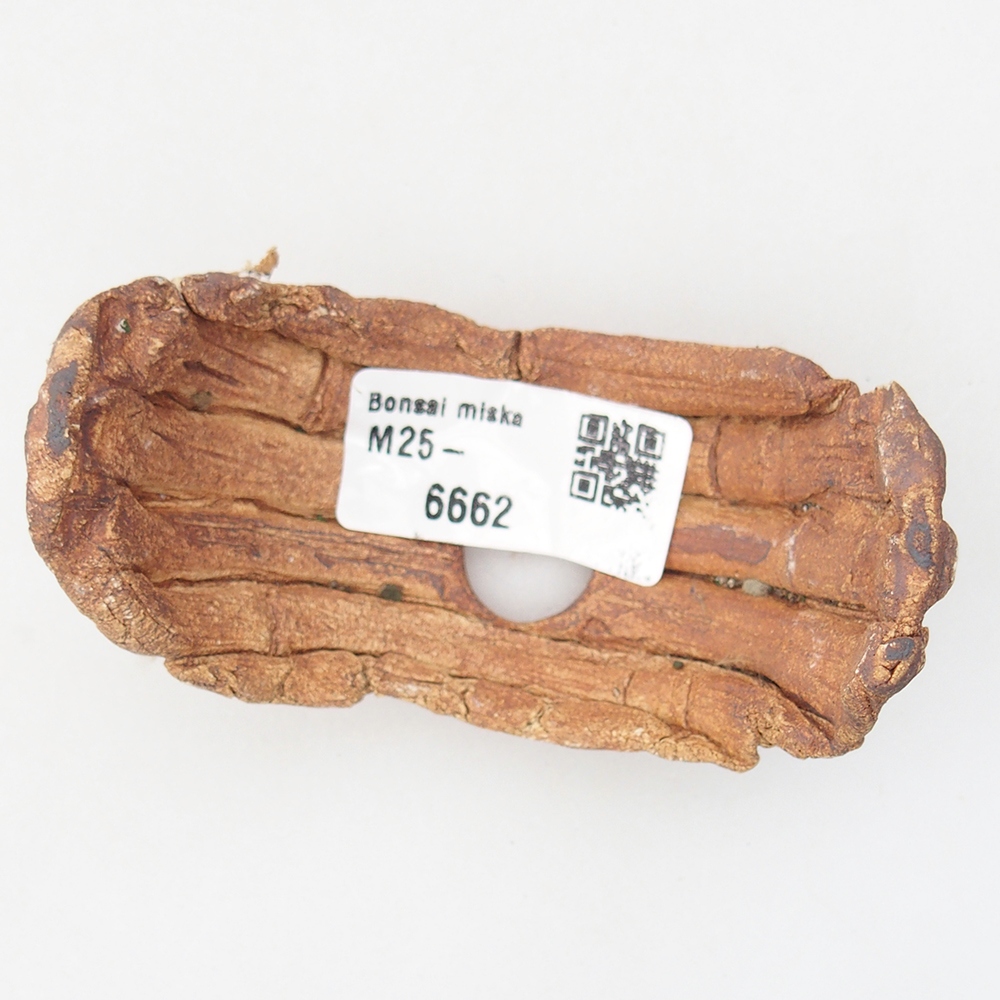 Kerámia kagyló 9 x 4,5 x 4,5 cm , színe barna