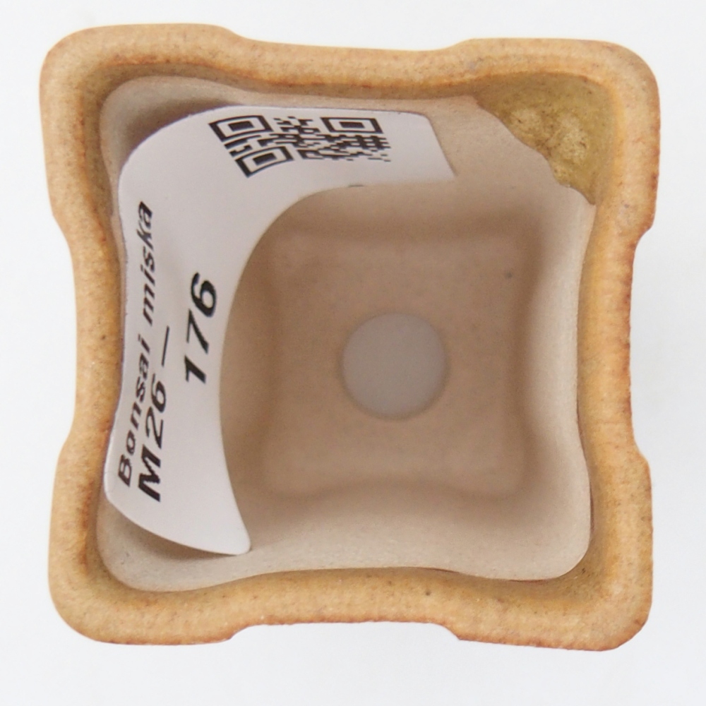 Mini bonsai tál 3,5 x 3,5 x 5,5 cm, barna