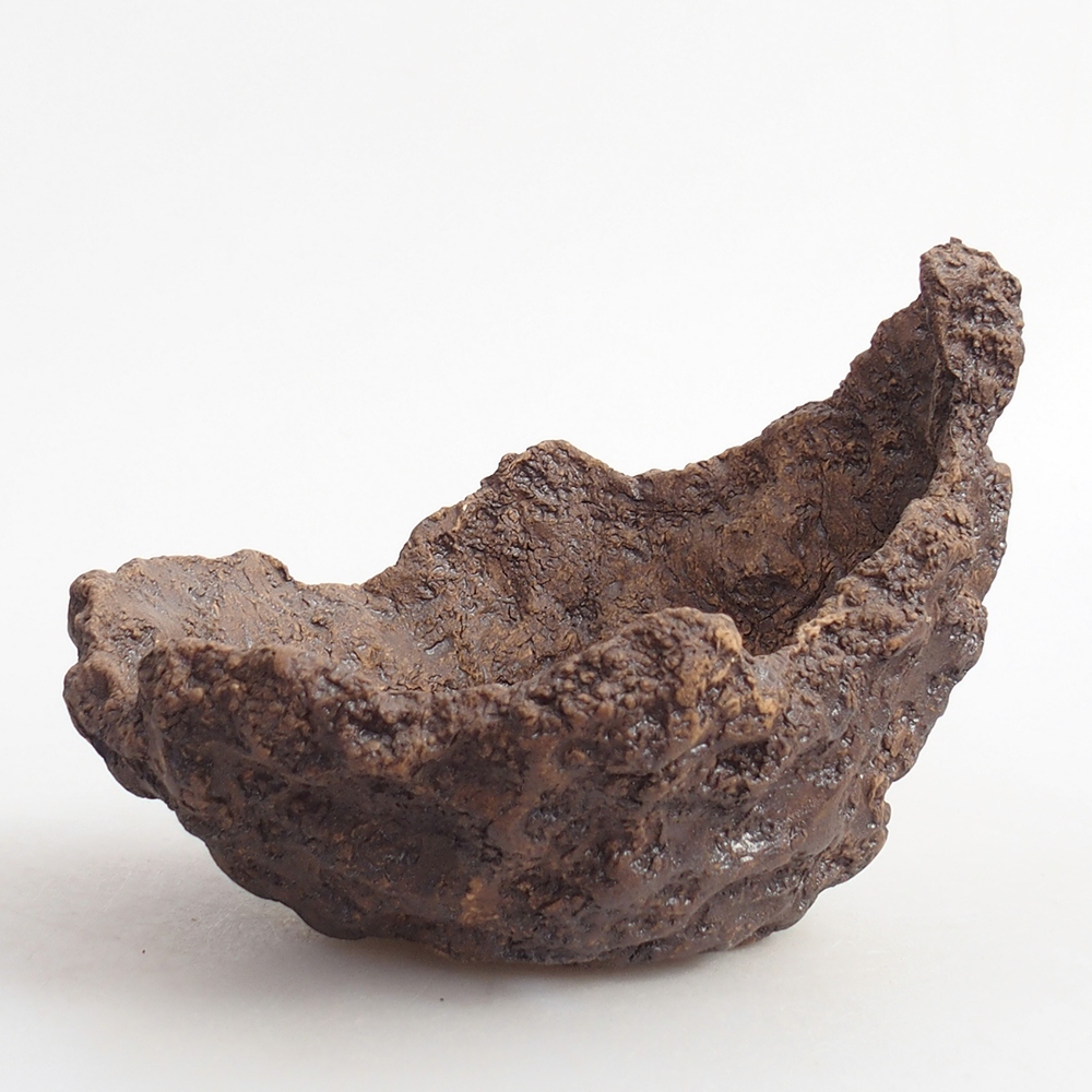 Kerámia kagyló 13 x 11 x 11 cm , színe barna