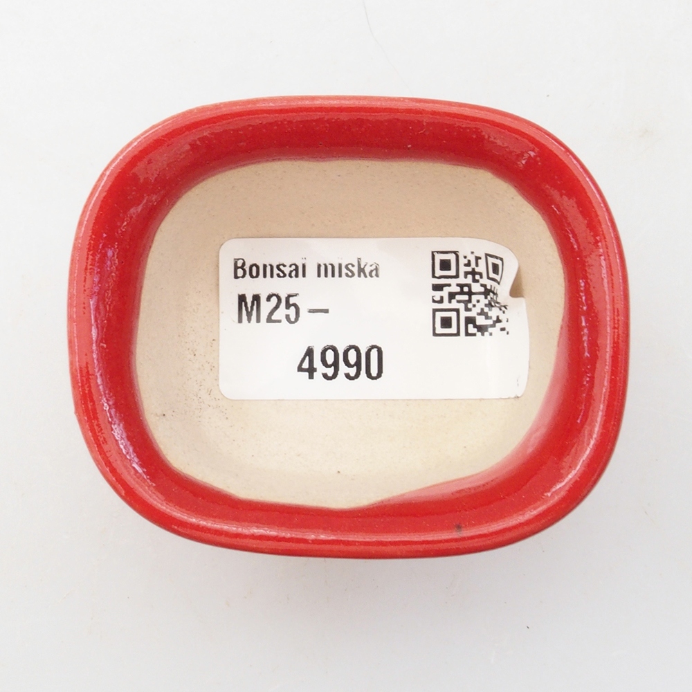 Mini bonsai tál 6 x 4,5 x 3 cm, piros színben