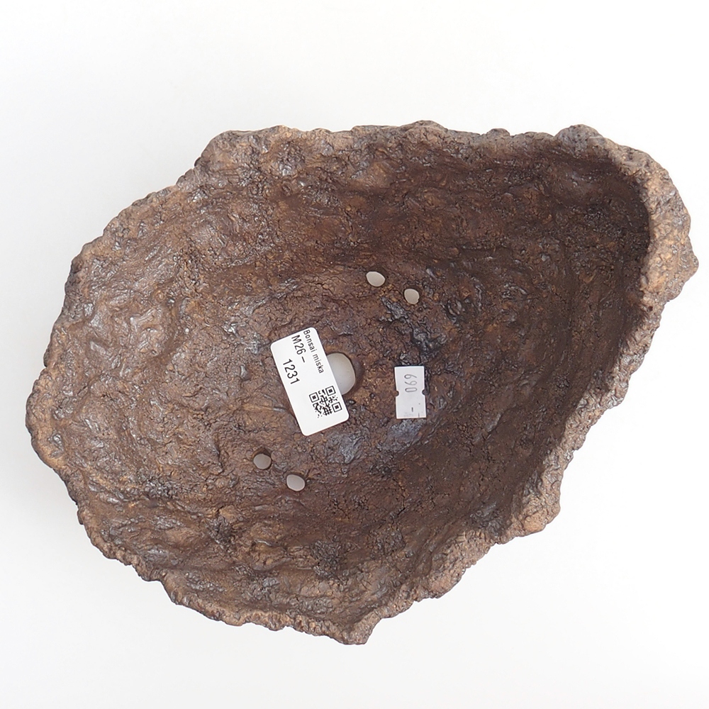 Kerámia kagyló 20 x 16 x 17 cm , barna színű