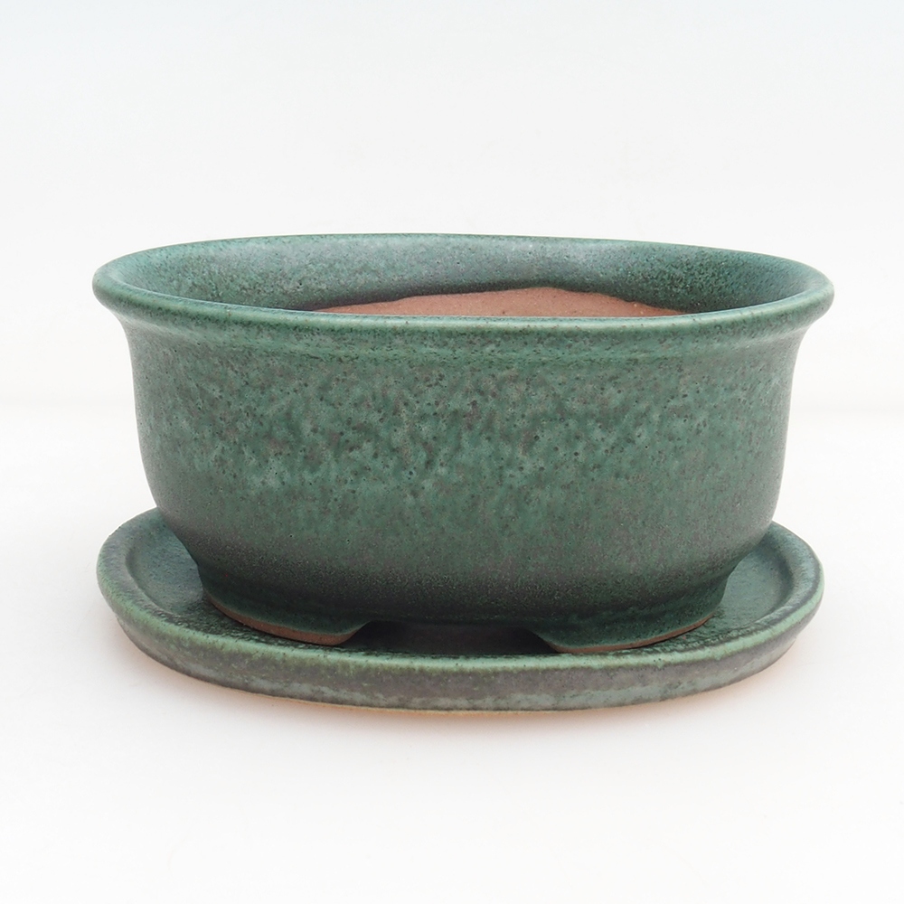 Bonsai tál + csészealj H11 - 11,5 x 10 x 4 cm. - zöld