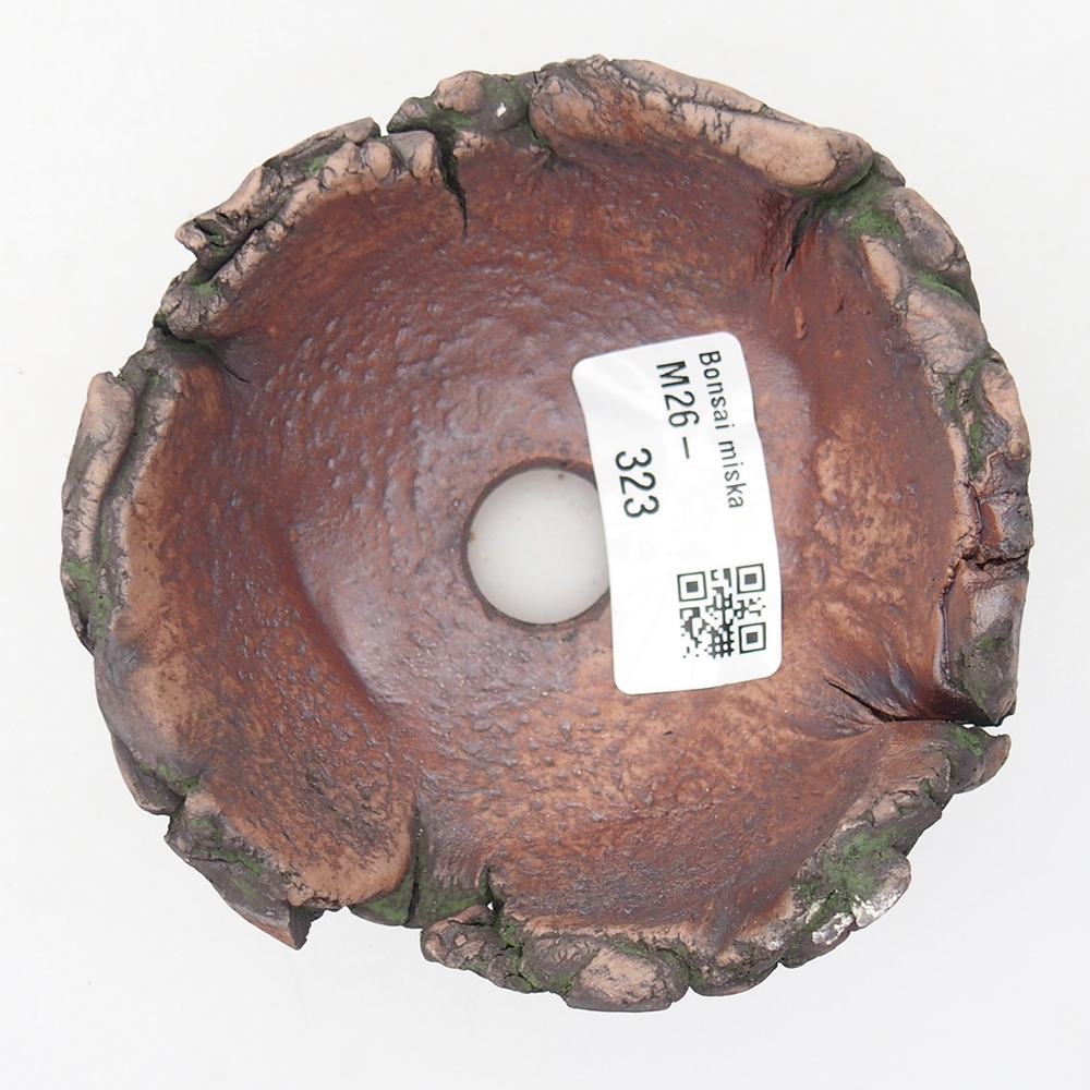 Kerámia kagyló 9,5 x 9,5 x 6 cm , zöld színű