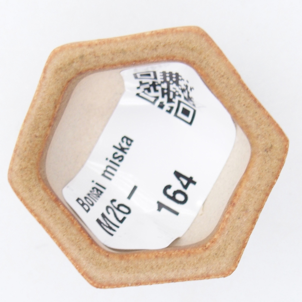 Mini bonsai tál 4 x 3,5 x 2 cm, barna