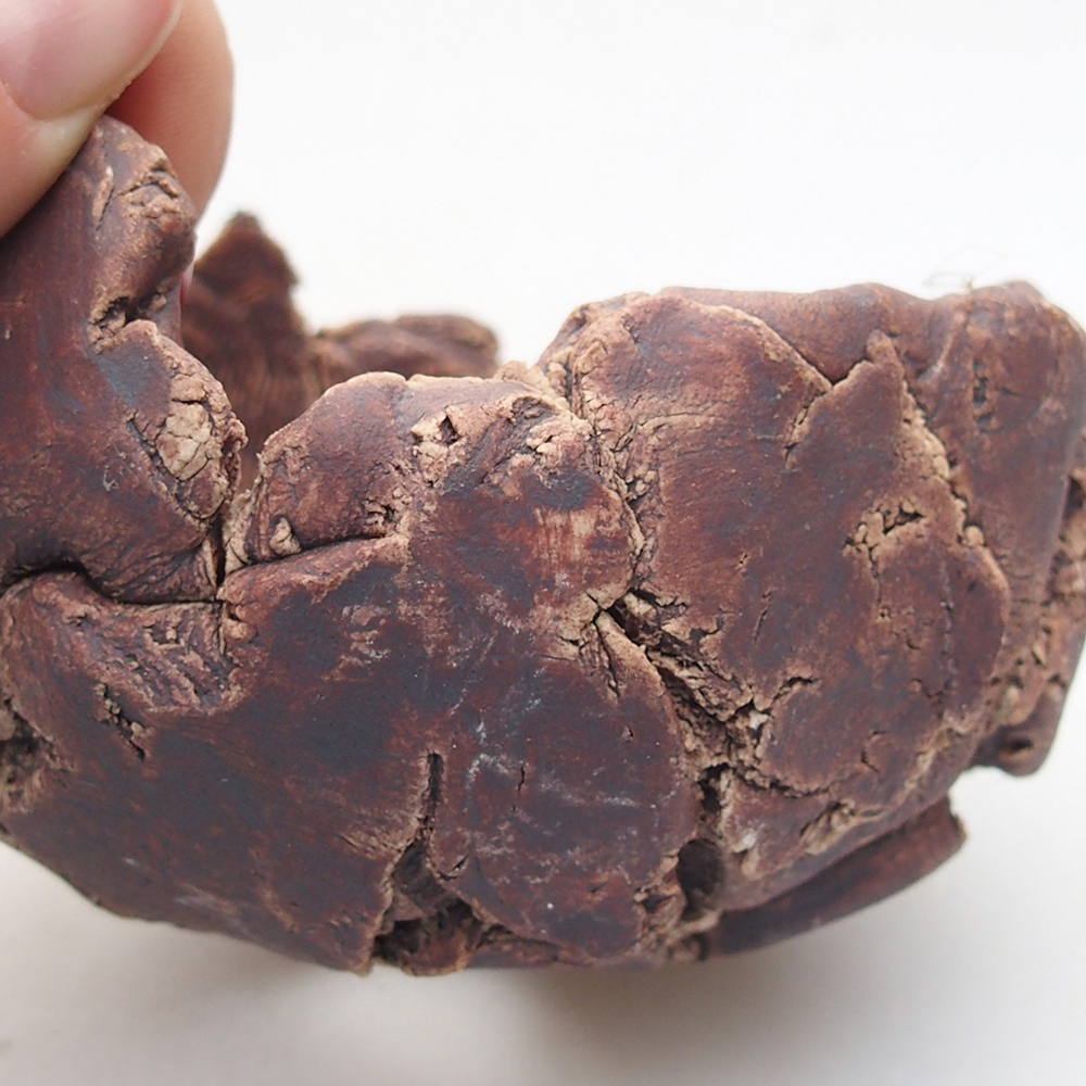 Kerámia kagyló 9 x 8,5 x 6 cm , barna színű