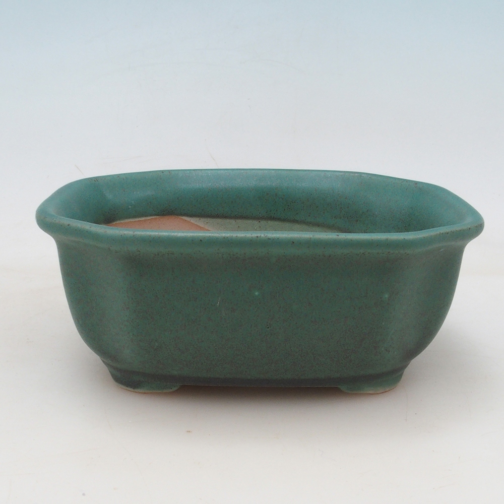 Bonsai tál + csészealj H31 - zöld