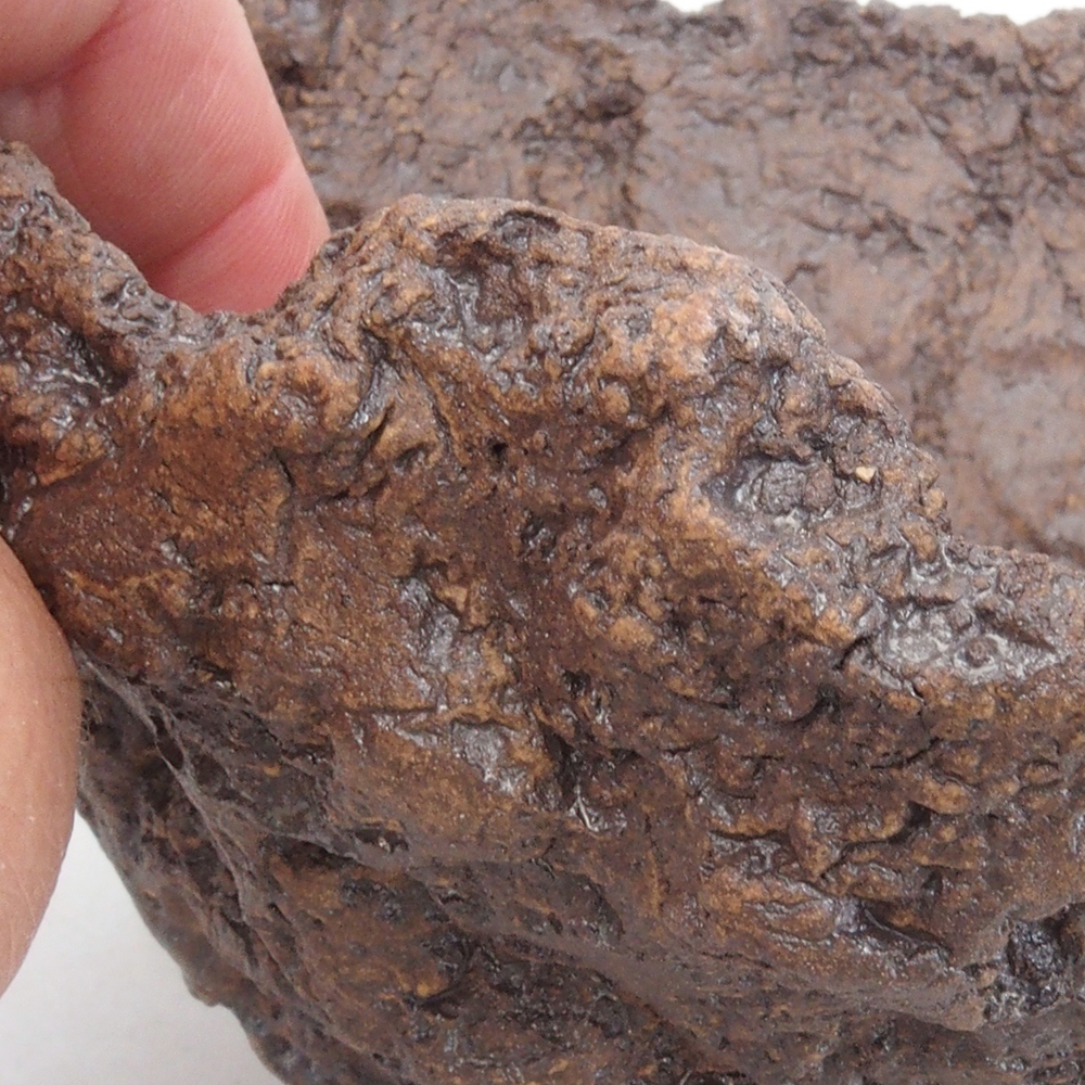 Kerámia kagyló 13 x 10,5 x 12,5 cm , színe barna