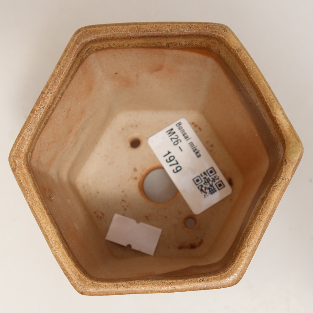 Kerámia bonsai tál, 9 x 8,5 x 8 cm, bézs színű