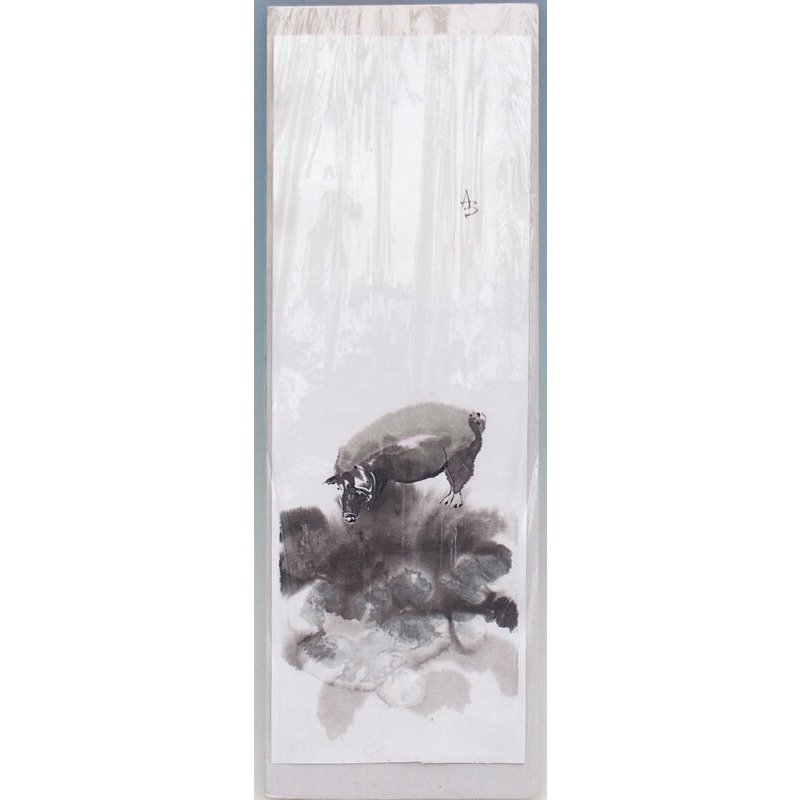 kalligráfia - Malacka