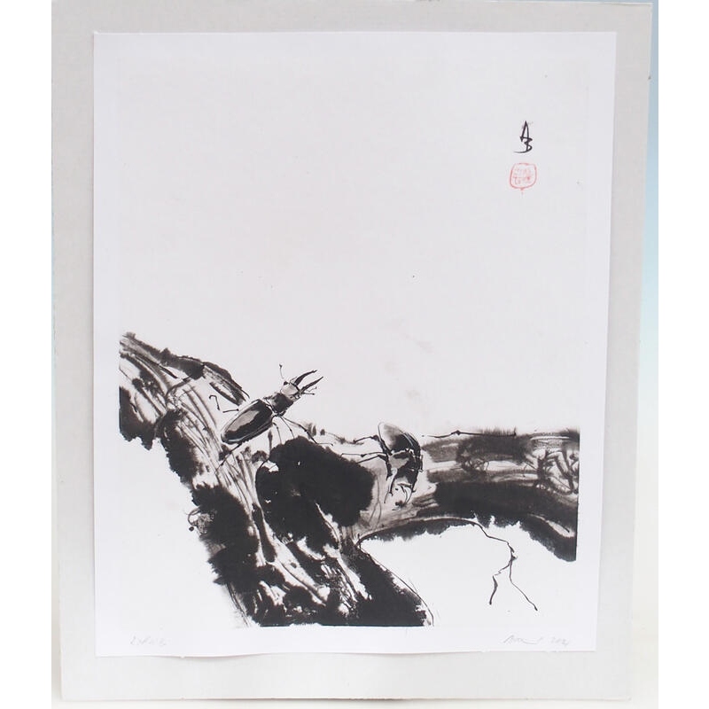 kalligráfia - Roháči