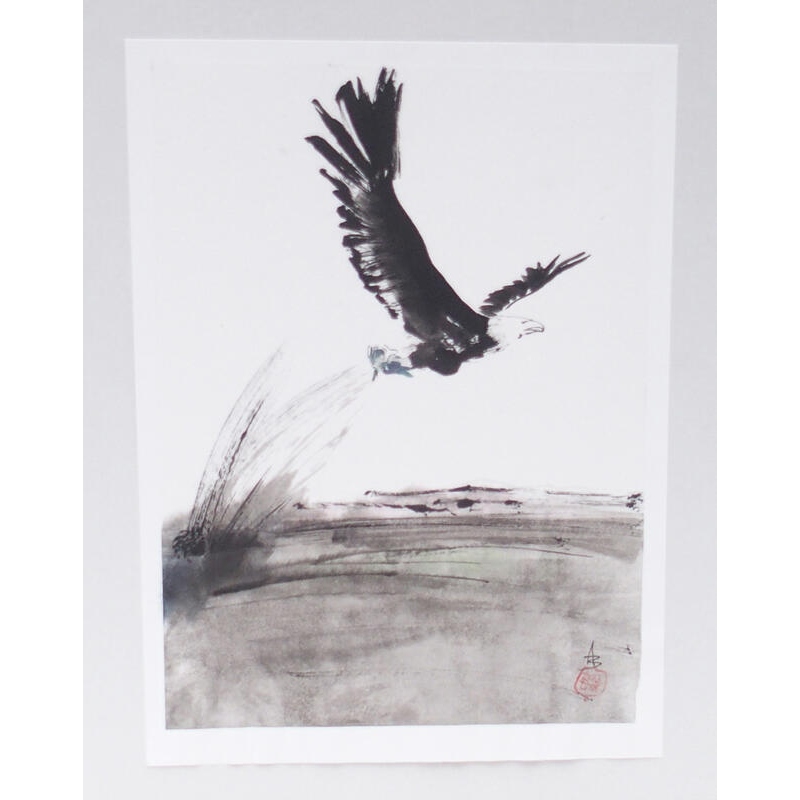 Kalligrafia - Keselyű zsákmánnyal