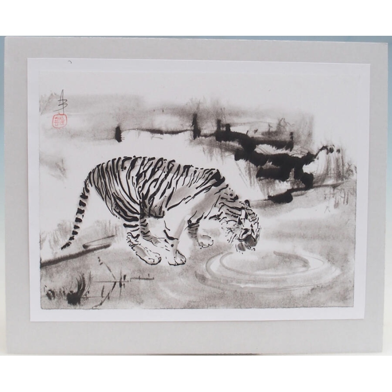 kalligráfia - Tigris