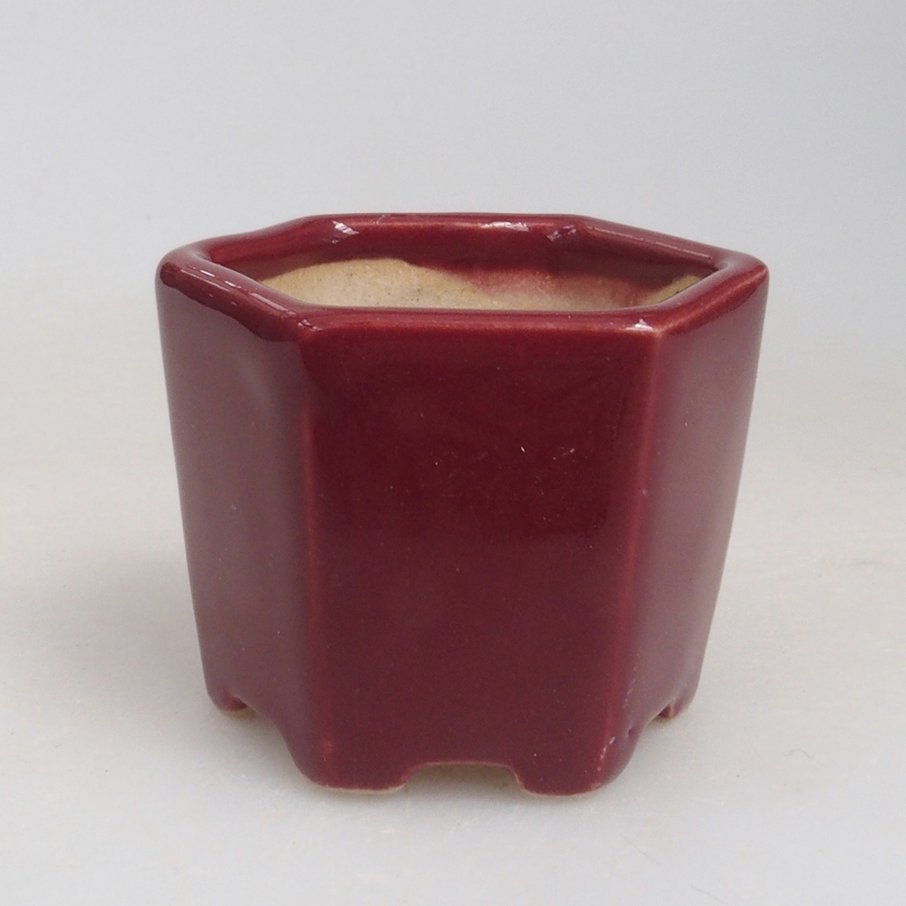 Mini bonsai tál 4 x 4 x 3,5 cm, bordó színű